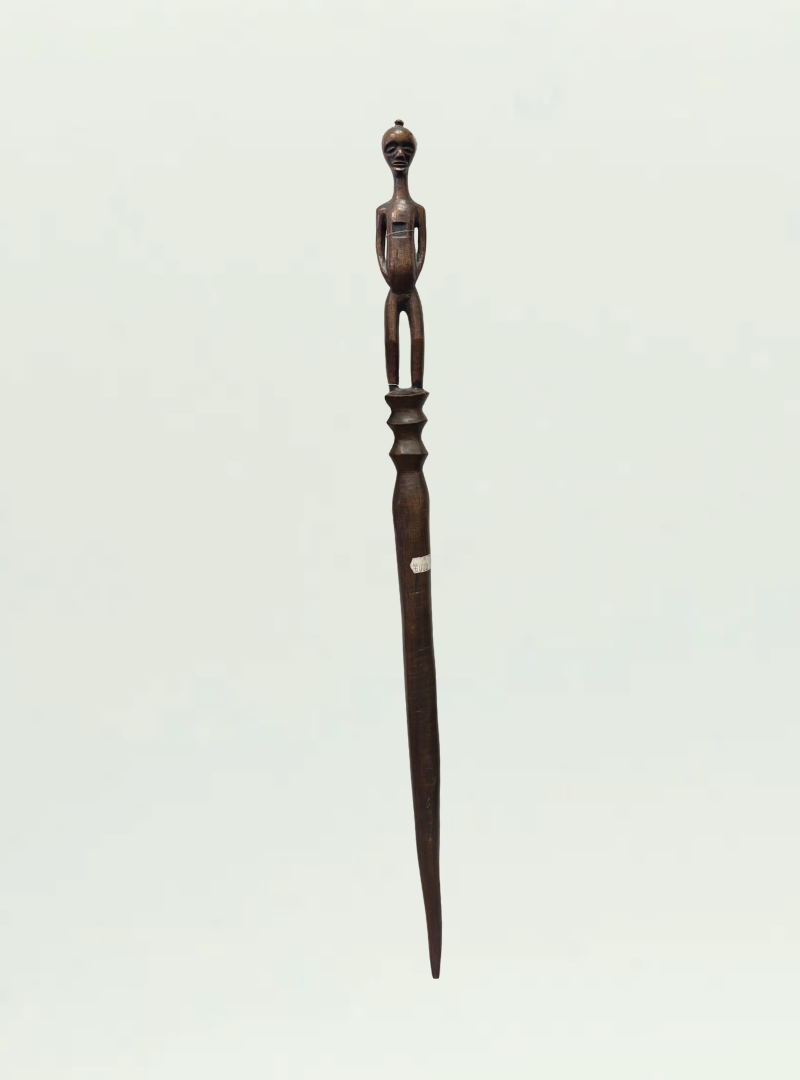 Walking Stick