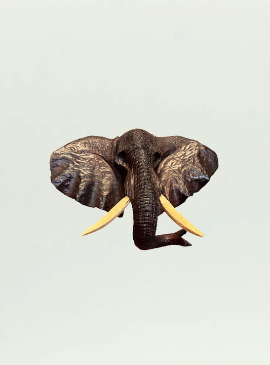 Iron Wood Elephant Head