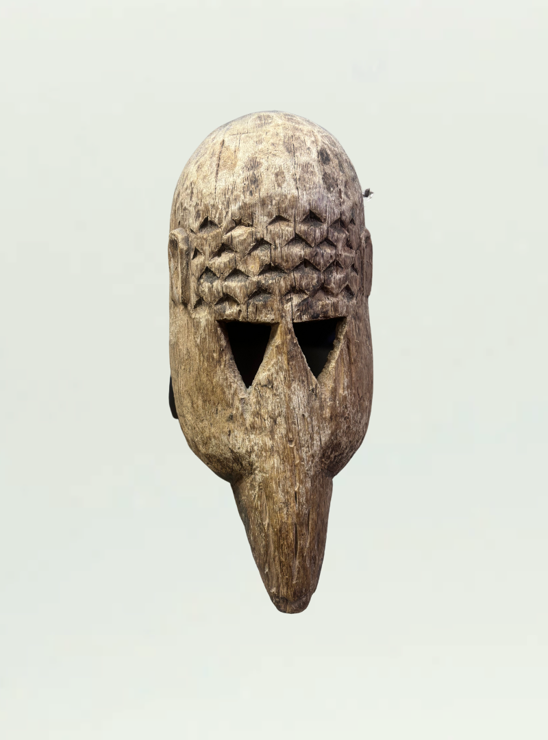 Bird Mask