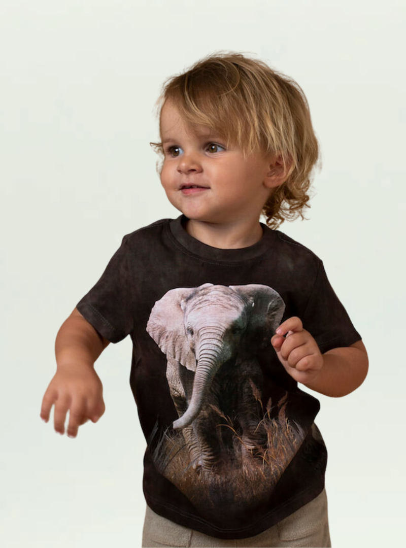 Kool Africa Baby Elephant T-shirt