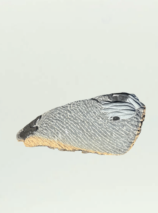 Sleeping Figure