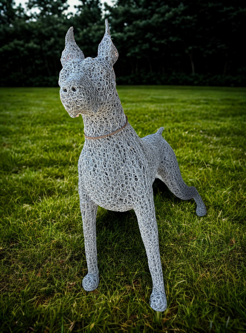 Wire Great Dane Dog