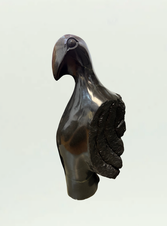 Bird of Prey