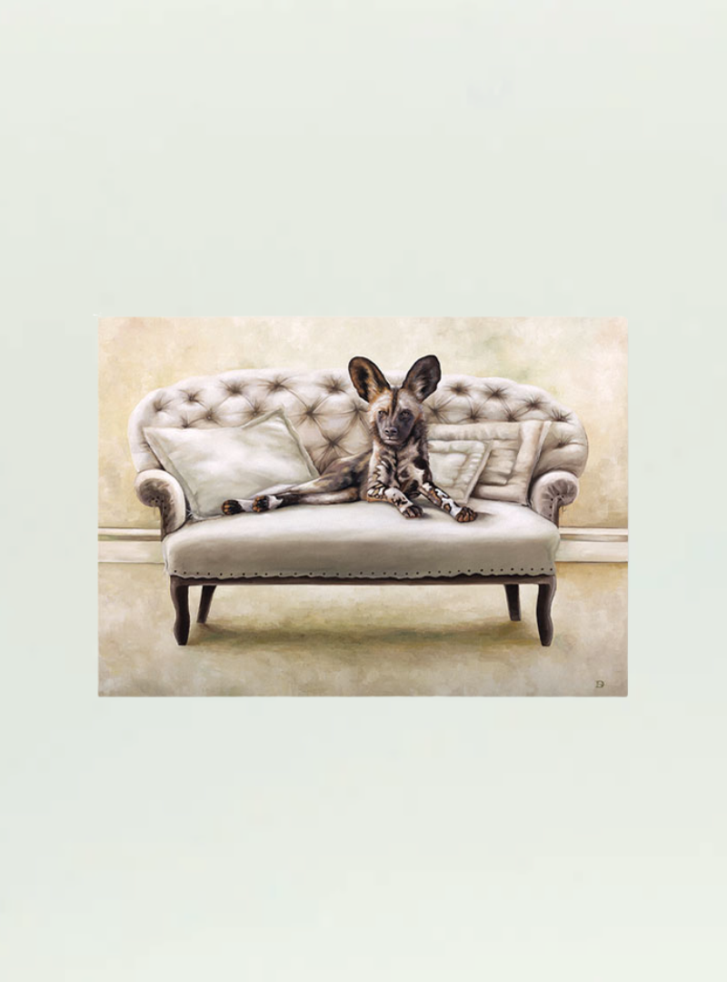 Wild Dog at Leisure Stretch Canvas