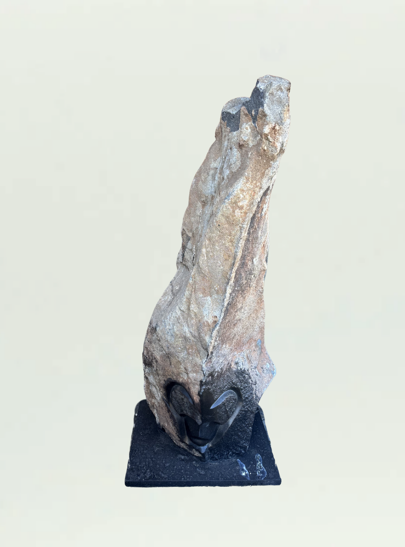 Head