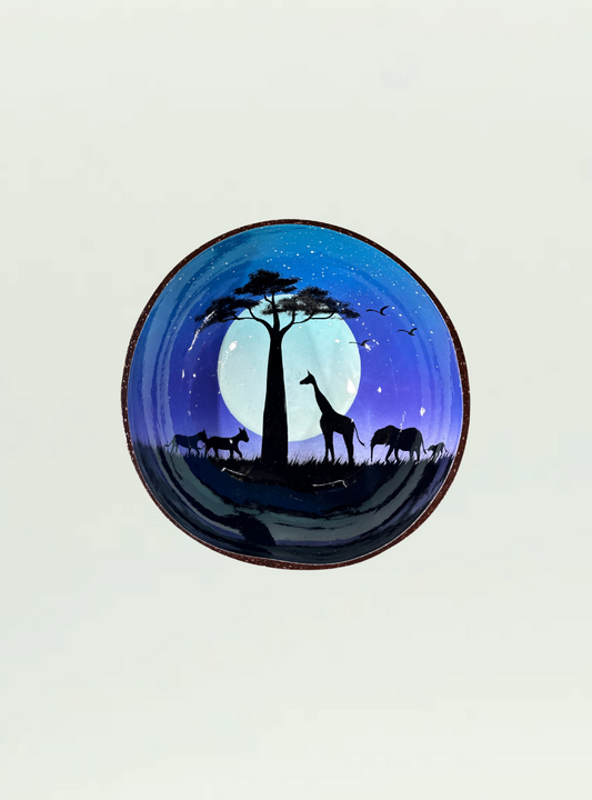 Painted Coconut Bowl