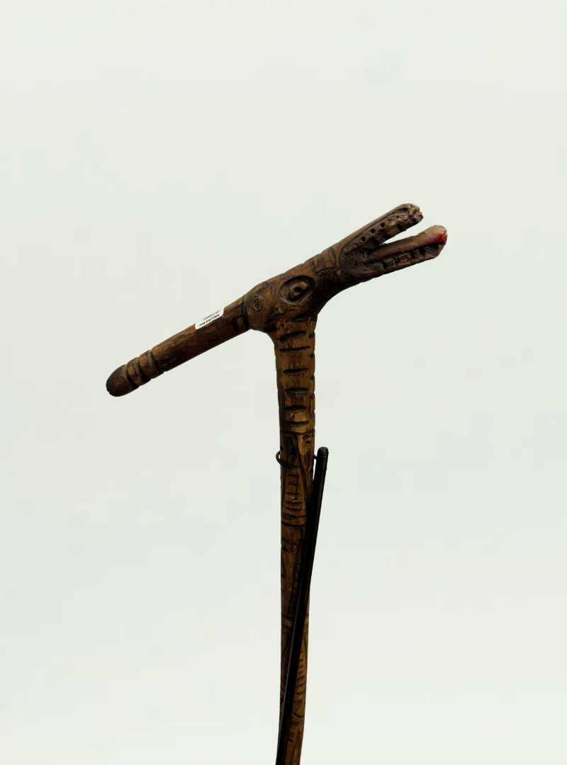 Walking Stick