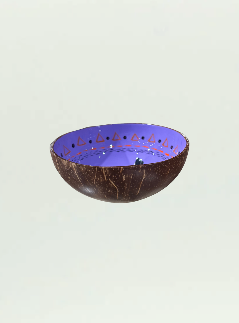 Painted Coconut Bowl