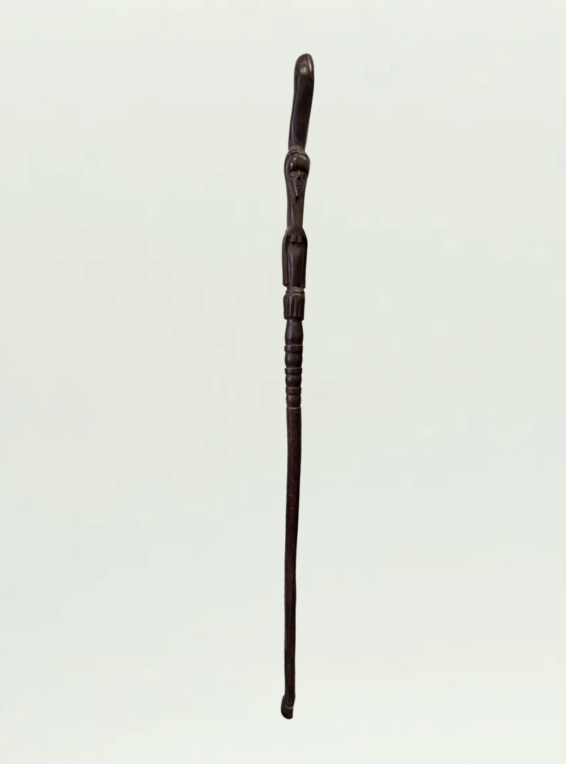 Walking Stick