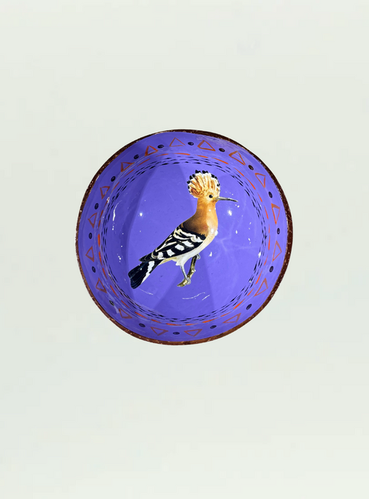 Painted Coconut Bowl