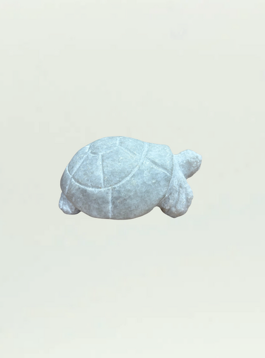 Tortoise Dolomite