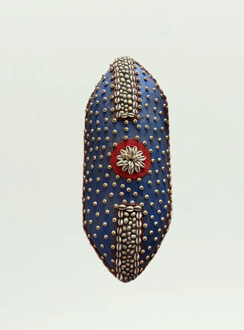 Blue Shield