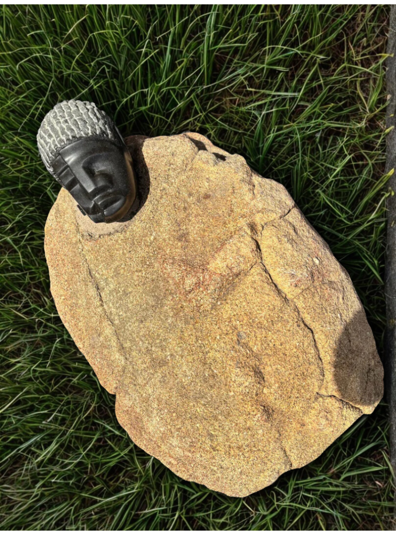 Sleeping Man