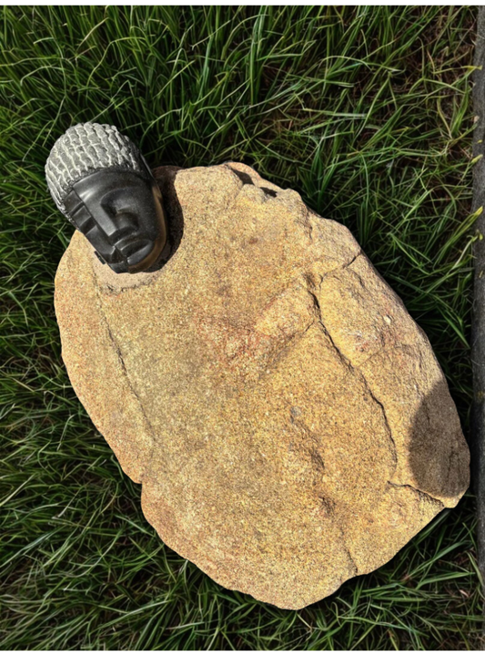 Sleeping Man
