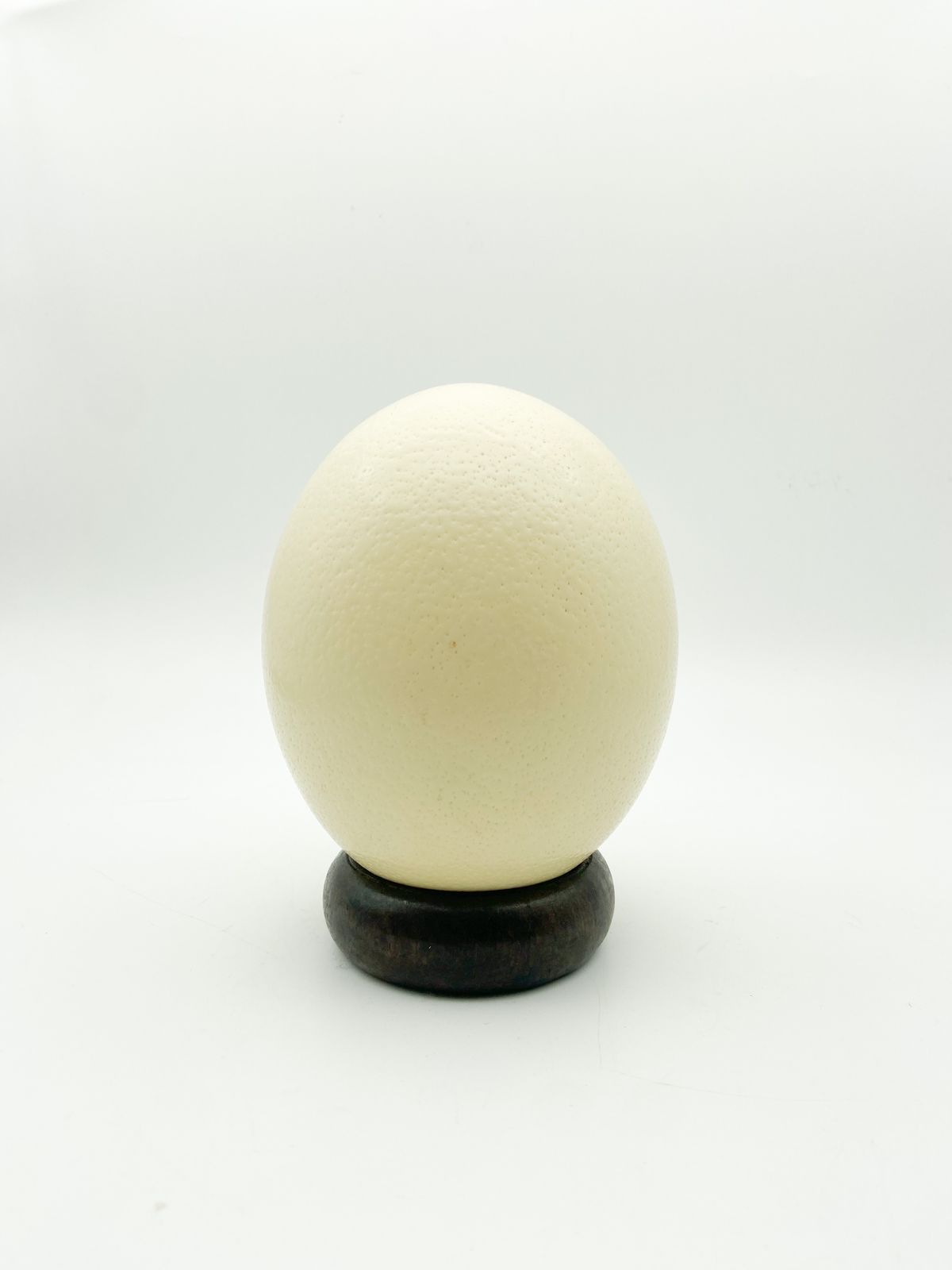 Plain Ostrich Egg And Stand